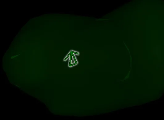 Dark green irregular shape on black background with a small outlined green arrow marker near center