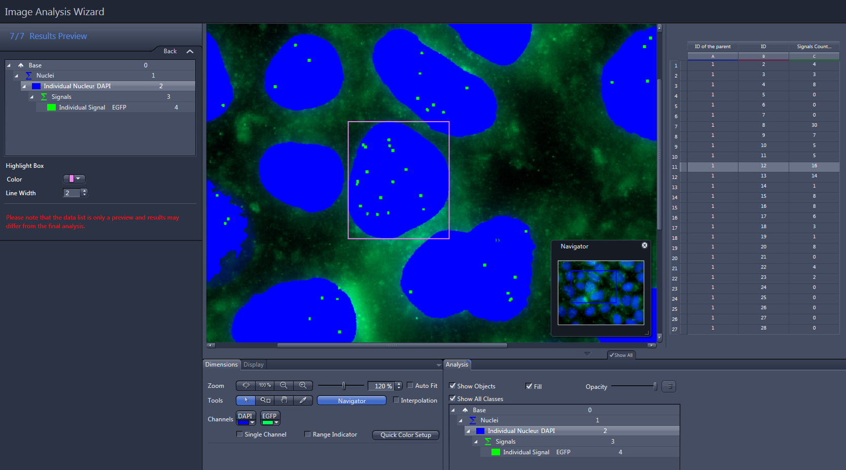 Microscopy GUI with blue nuclei, green signals, highlighted nucleus box, and right table showing parent ID and signal counts