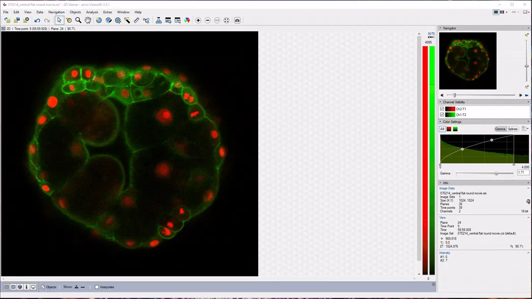 2D Viewer showing a circular specimen with green-stained outlines and red round spots, plus right-side Navigator thumbnail and color settings