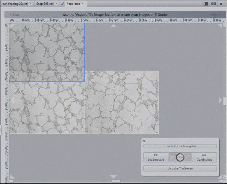 Panorama window with two adjacent sample tiles, blue selection rectangle, and text Use the 'Acquire Tile Image' button