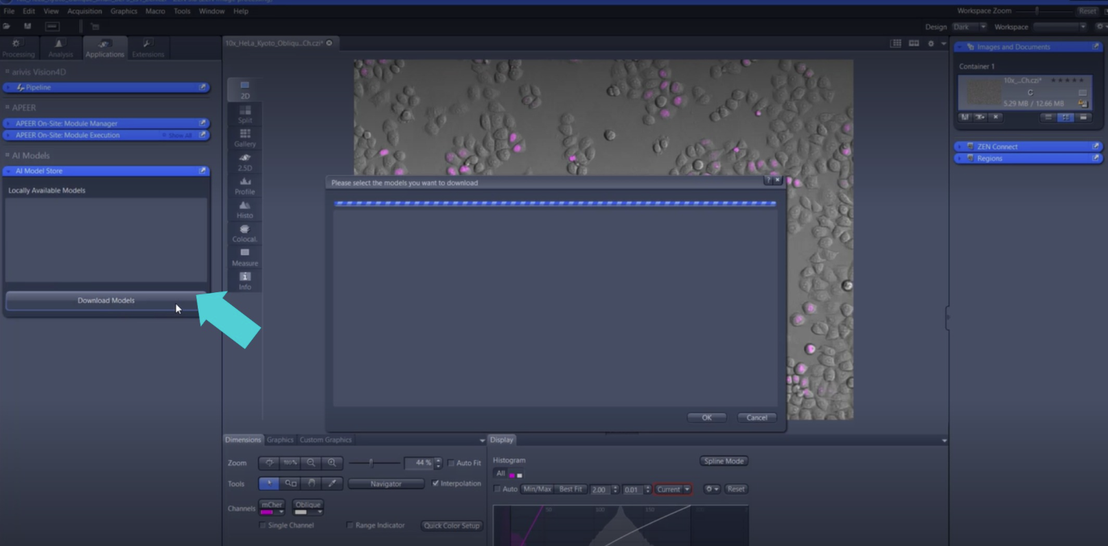 ZEN interface with Download Models button highlighted by turquoise arrow and model selection dialog