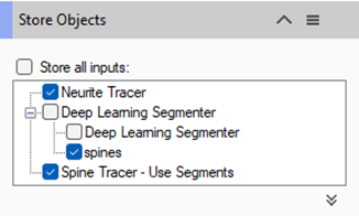 Store Objects panel showing Neurite Tracer checked; Deep Learning Segmenter with spines checked; Spine Tracer - Use Segments checked