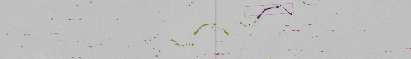 Gray field with scattered red markers and multiple boxed yellow and purple curved inclusions near a vertical centerline