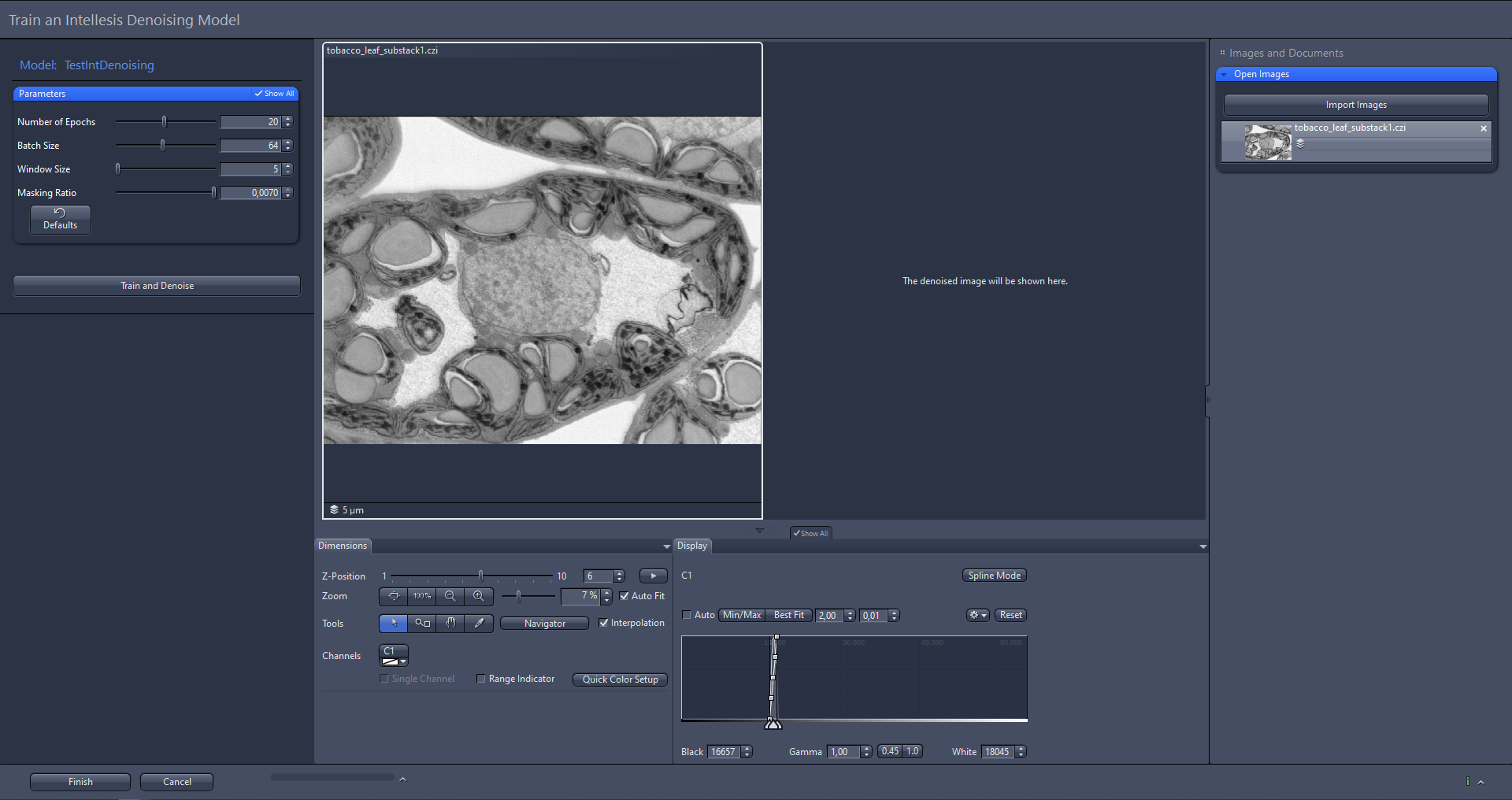 Software window titled Train an Intellesis Denoising Model with grayscale microscopy preview and left Parameters panel