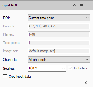 Input ROI dialog: ROI Current time point; Bounds 432,990,483,479; Planes 1-46; Scaling 100% (Include Z checked)