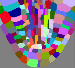 Semicircular arc of multicolored rectangular tiles forming a mosaic pattern on a gray background.