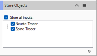 Dialog titled Store Objects showing checked Store all inputs and checked Neurite Tracer and Spine Tracer options
