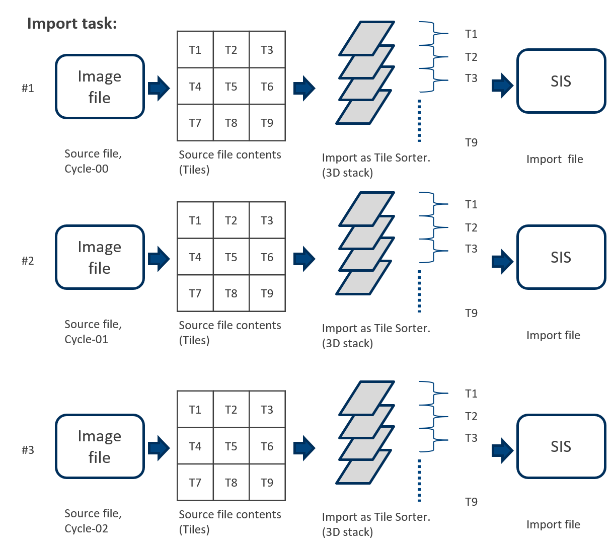 Import task diagram showing Image file to 3x3 tiles T1-T9 to 3D stack then SIS; rows labeled Cycle-00, Cycle-01, Cycle-02