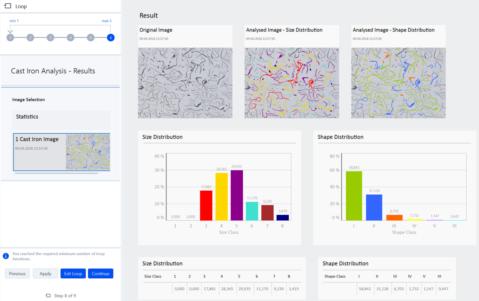 Result view with thumbnails 'Original Image', 'Analysed Image - Size Distribution' and 'Analysed Image - Shape Distribution' and distribution charts