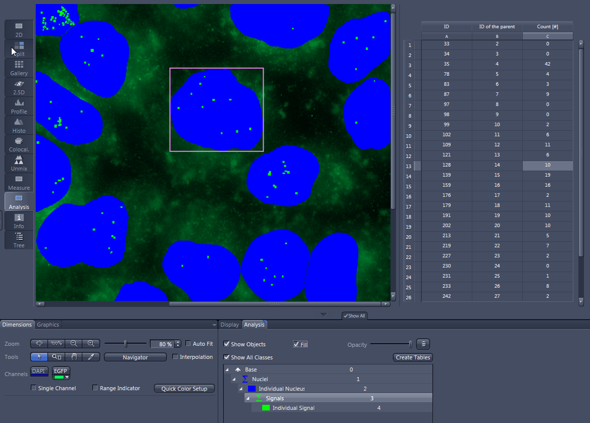 Software window showing blue nuclei with green signals, right table labeled ID and Count [#], DAPI and EGFP channels