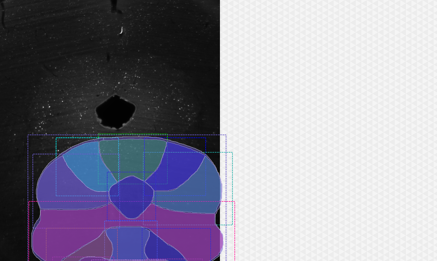 2D image showing colored segmented regions with dashed bounding boxes over dark background