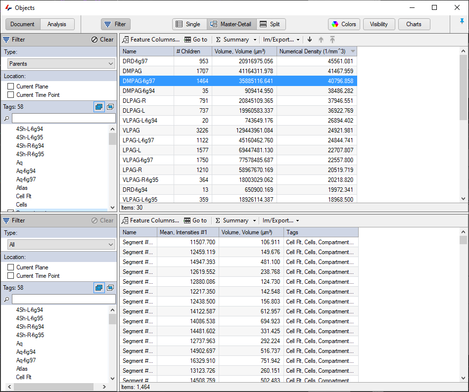 Objects window with DMPAG-fig97 row highlighted, lower pane listing segments and columns including 'Mean, Intensities #1' and 'Volume, Volume (µm^3)'