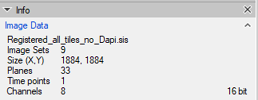 Info panel showing Registered_all_tiles_no_Dapi.sis; Image Sets 9; Size (X,Y) 1884,1884; Planes 33; Channels 8