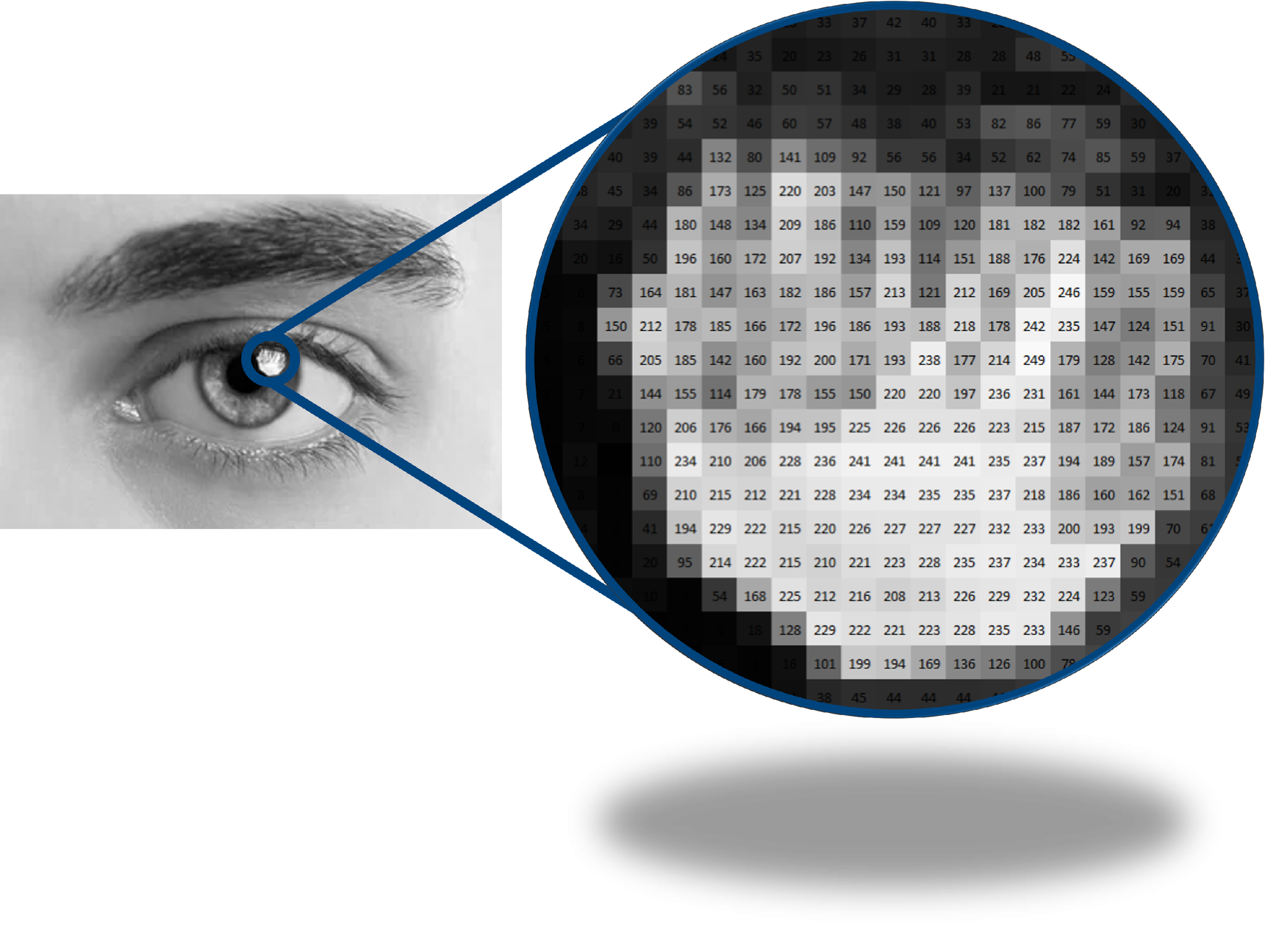 Grayscale close-up of a human eye with a circular magnified inset showing a numbered pixel grid connected by blue lines