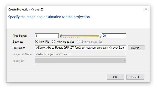 Create Projection XY over Z dialog showing Time Points 1–20, Save as New File selected and file path field