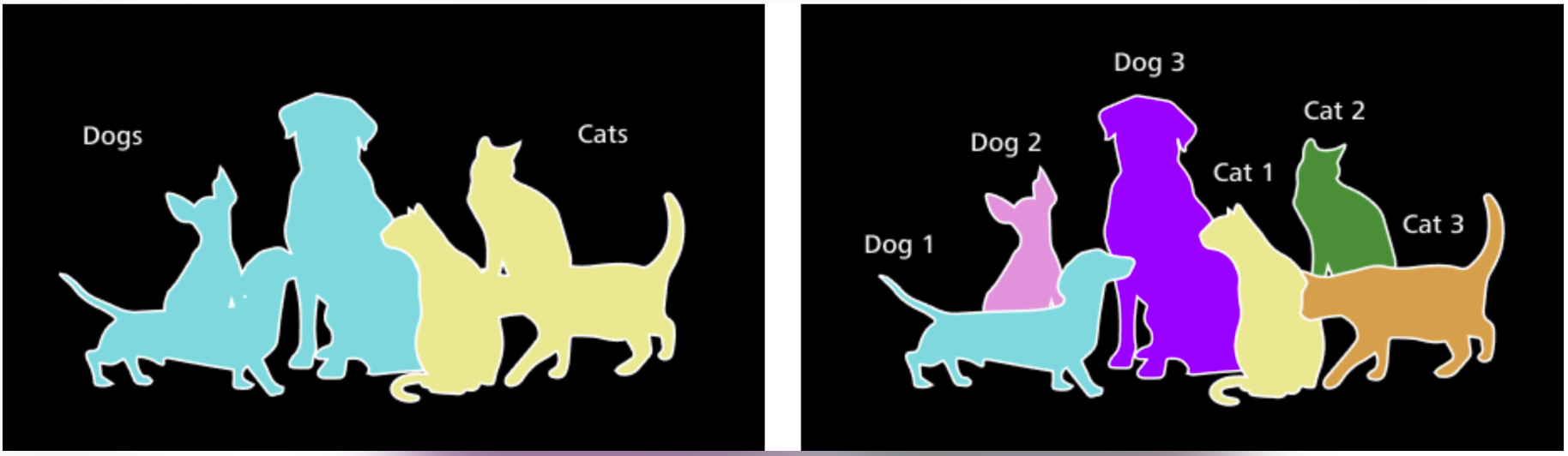 Illustration of segmentation types. Left panel: semantic segmentation (pixel-based segmentation), right panel: instance segmentation (object-based segmentation)