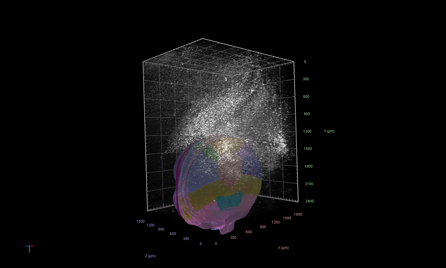 3D volume rendering with translucent segmented object at bottom and dense white particle cloud above in gridded axes labeled X, Y, Z (µm)
