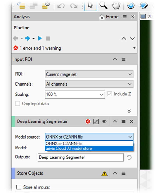 Analysis panel with Input ROI Current image set, Channels All channels, Scaling 100% and Model source ONNX or CZANN file