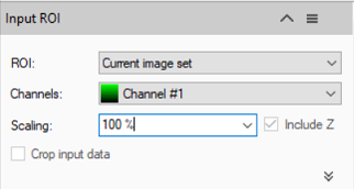 Input ROI dialog showing ROI 'Current image set', Channels 'Channel #1', Scaling '100 %', and 'Crop input data' checkbox