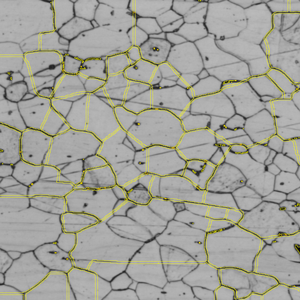 Gray micrograph of polygonal grains with yellow boundary overlays, black grain lines and scattered dark specks