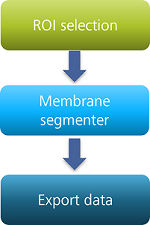 Vertical flowchart with three boxes labeled ROI selection → Membrane segmenter → Export data