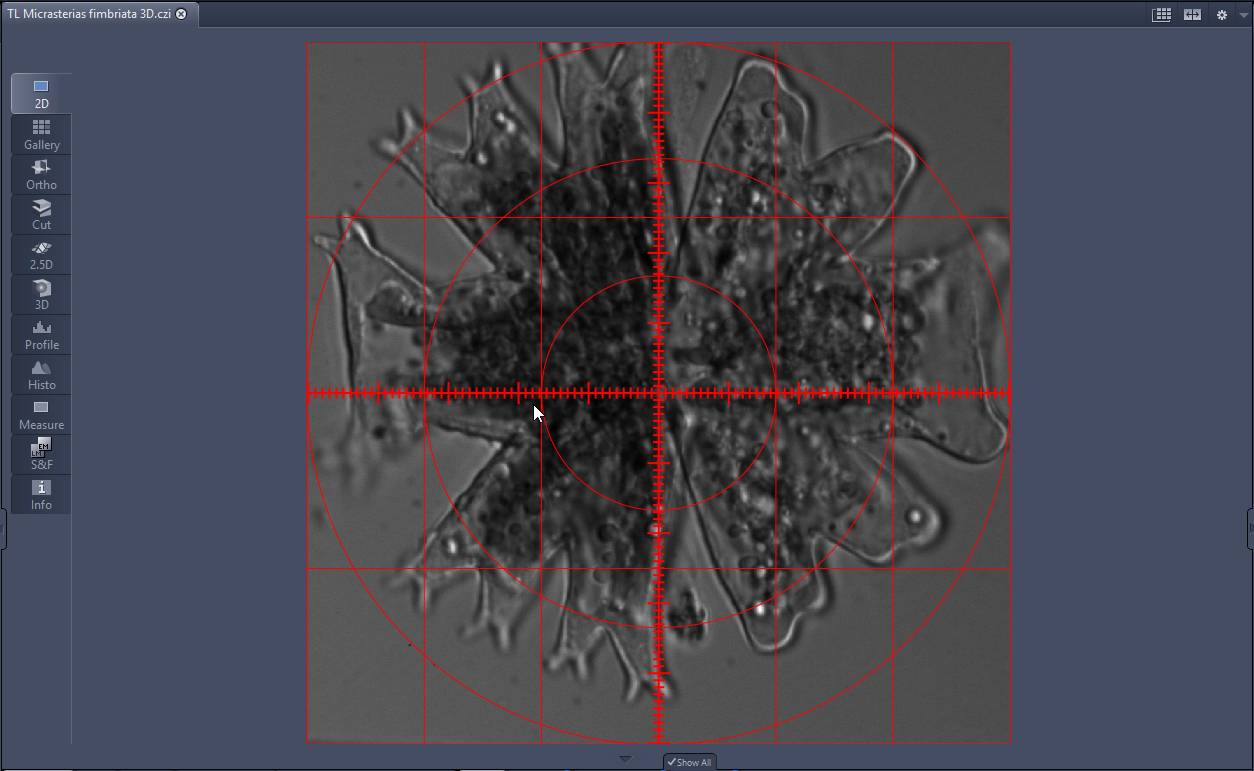 Window 'TL Micrasterias fimbriata 3D.czi' showing microscopy specimen overlaid with red grid, concentric circles and cross