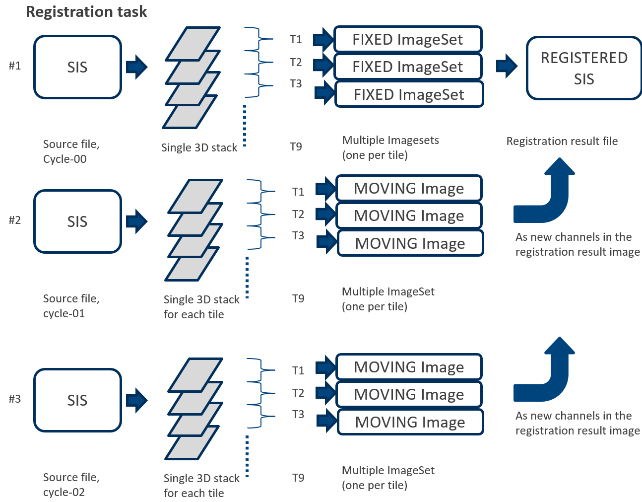 Registration task diagram showing SIS to single 3D stack to FIXED ImageSet or MOVING Image to REGISTERED SIS; rows labeled Cycle-00, Cycle-01, Cycle-02