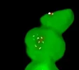 Green amorphous 3D object on black background with small white highlights