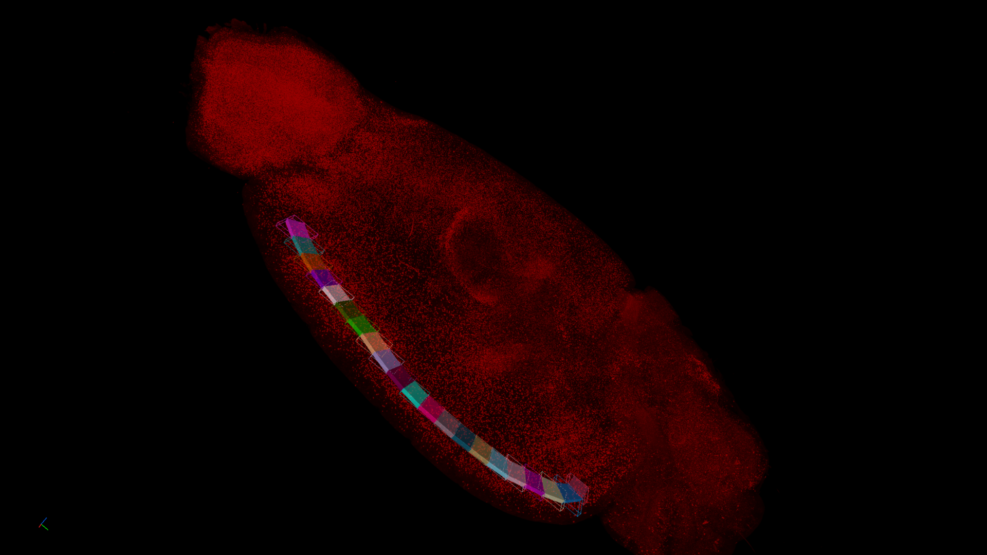 Red translucent elongated shape on black background with a curved row of multicolored 3D boxes along its left side