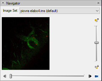 Navigator panel showing Image Set: piovra elabo4.ims (default) and a small green network with red spots