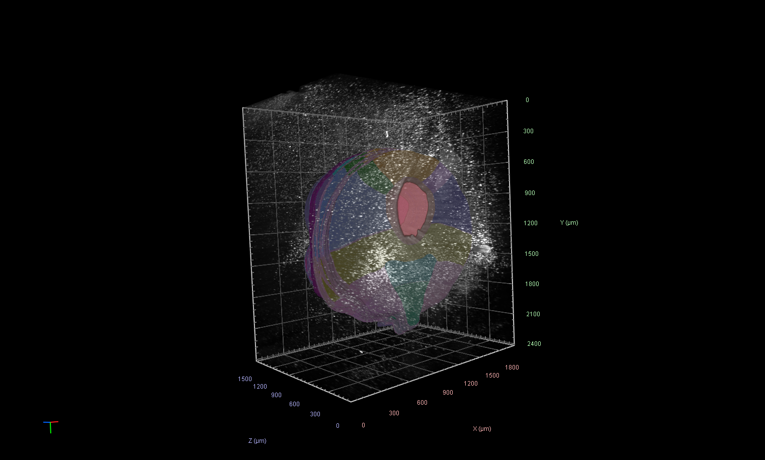 3D volumetric render of segmented object inside grid with point cloud and X Y Z (µm) axes