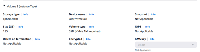 Volume 2 panel showing storage type ephemeral0, size 125 GB, device /dev/nvme0n1, SSD volume type