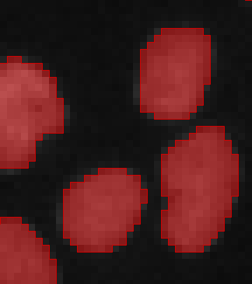 Close-up of red-filled segmented oval regions with red outlines on a dark background