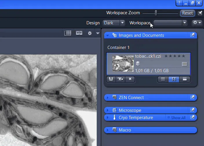 Screenshot of software with grayscale microscope image and 'Images and Documents' panel showing file 'tobac...ck1.czi'