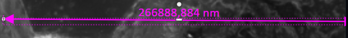 Grayscale image with magenta dotted horizontal measurement arrow labeled 266888,884 nm