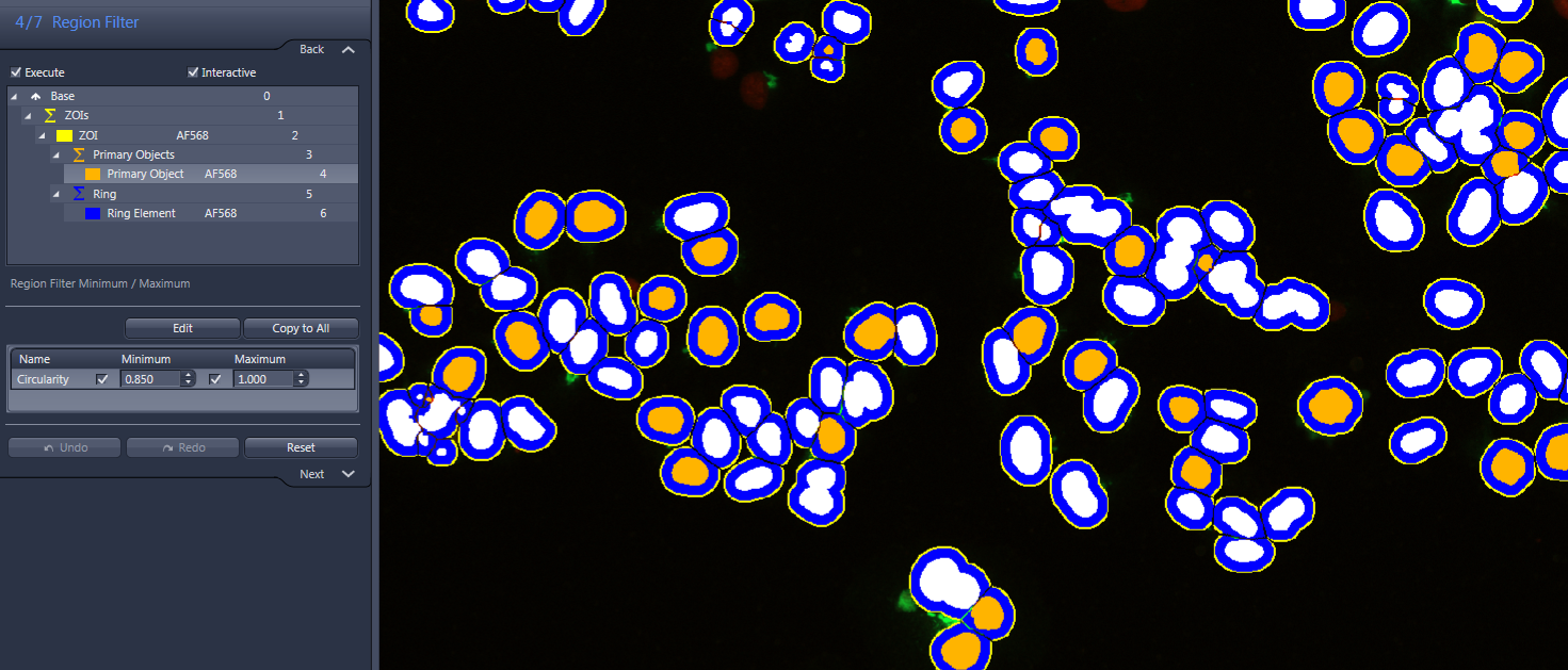Region Filter panel beside image of many blue-outlined white-and-orange circular objects on black background