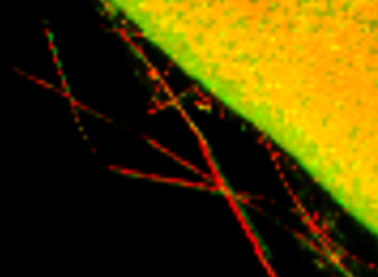 Red dotted filaments cross a black area beside a yellow-green granular region