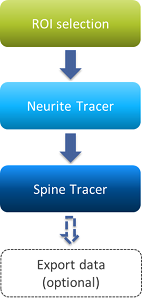 Flowchart of boxes labeled ROI selection → Neurite Tracer → Spine Tracer → Export data (optional)