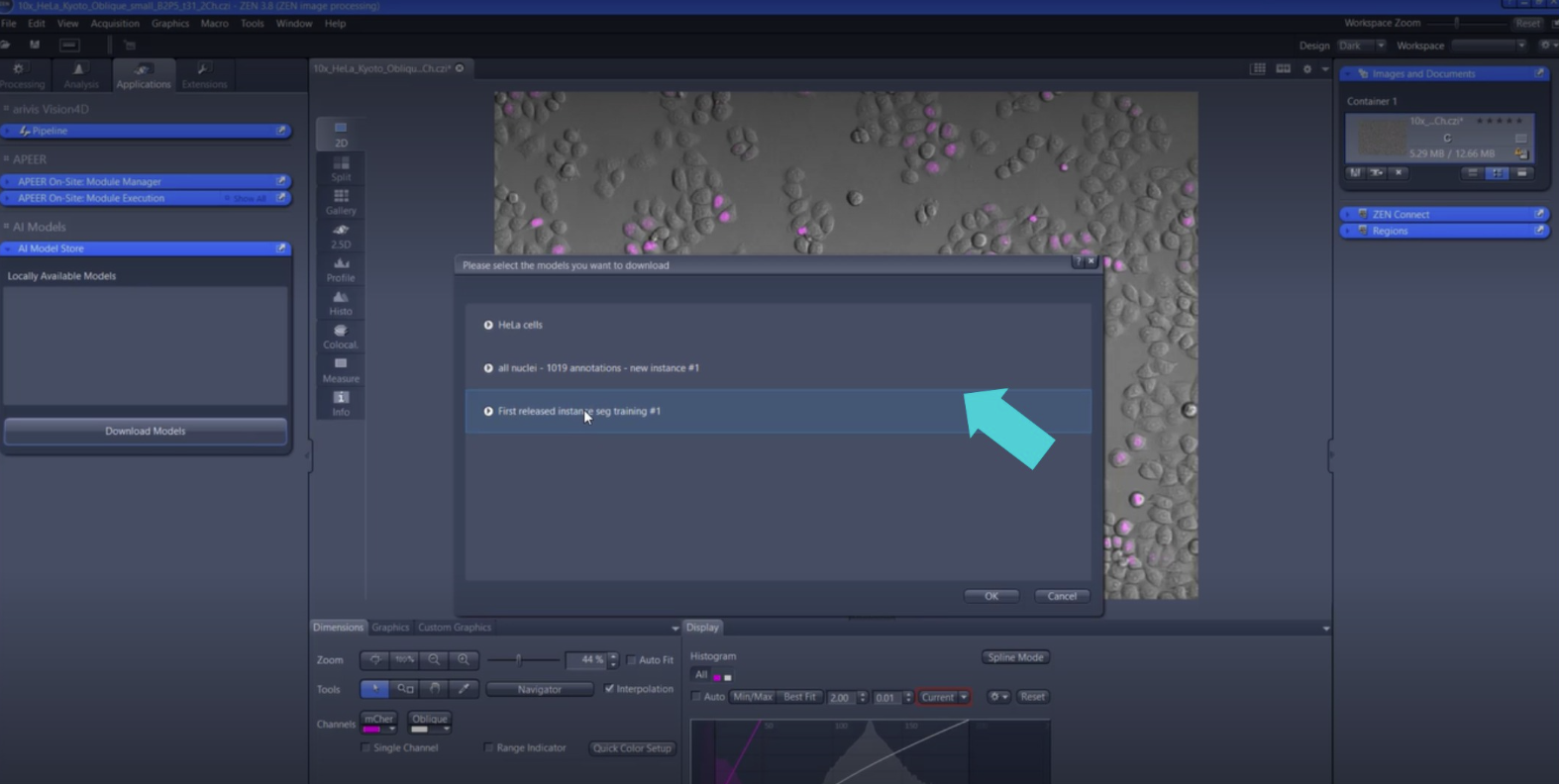 Model selection dialog showing three models with turquoise arrow pointing at First released instance seg training #1