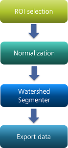 Vertical flowchart of four rounded boxes labeled ROI selection → Normalization → Watershed Segmenter → Export data
