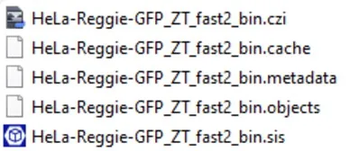List of files named HeLa-Reggie-GFP_ZT_fast2_bin with extensions .czi, .cache, .metadata, .objects, .sis