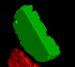 Green 3D object hovering above a smaller red 3D object on a black background
