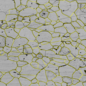 Grayscale image of irregular polygonal network with yellow boundary outlines over a textured background