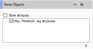 Dialog titled 'Store Objects' with unchecked 'Store all inputs:' box and checked 'Otsu Threshold - big structures' option.