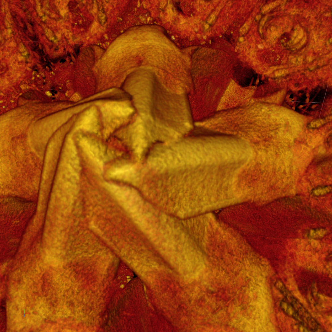 Yellow-orange volumetric render of a central folded mass with textured surface and surrounding red background