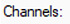 UI label 'Channels:'