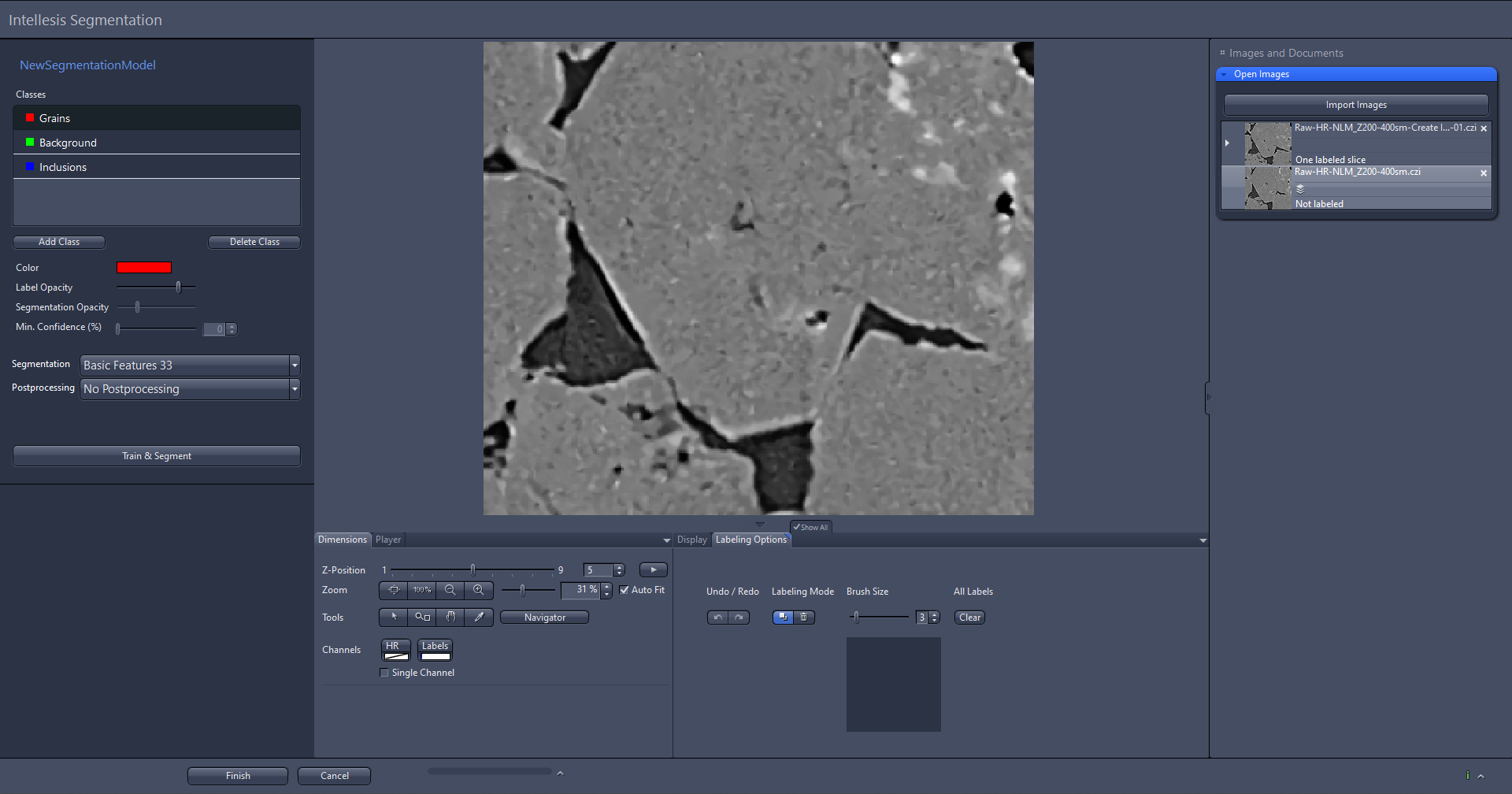 Intellesis Segmentation interface with central grayscale sample image and right 'Open Images' panel