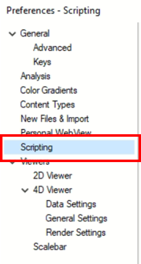Preferences Scripting pane with Scripting option highlighted in left navigation