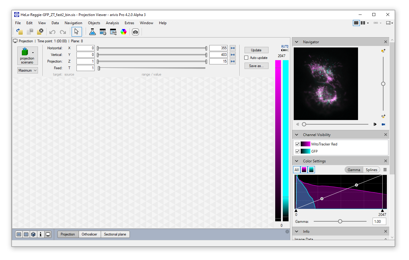 arivis Pro Projection Viewer with navigator thumbnail and Channel Visibility showing MitoTracker Red and GFP