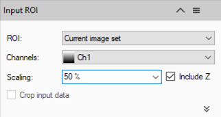 Panel titled Input ROI showing ROI Current image set, Channels Ch1, Scaling 50 %, checked Include Z
